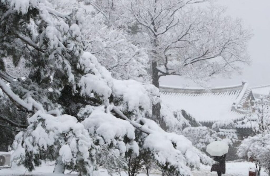 Se Schimb Vremea Vin Ninsorile N Bucure Ti Ce Anun Meteorologii