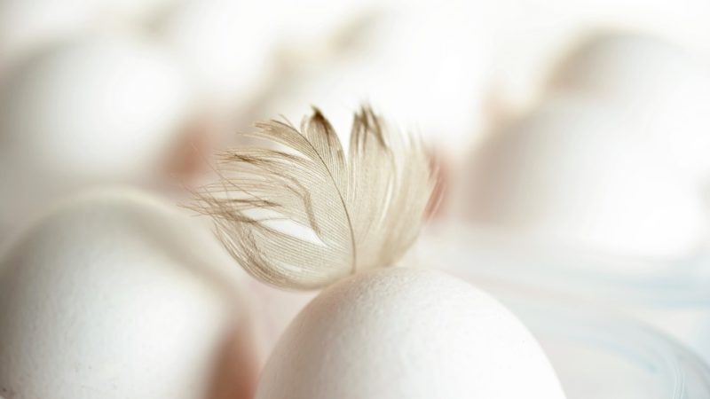 Ce înseamnă cifrele de pe ouă
