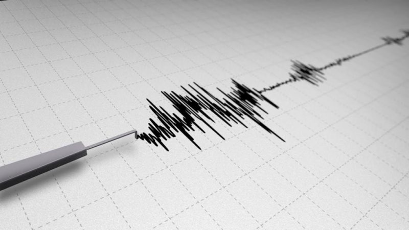 Val de cutremure în Banat. Patru seisme în 12 ore