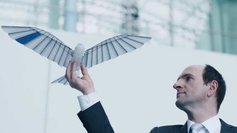 Păsări-robot cu zbor real, concepute de nemți