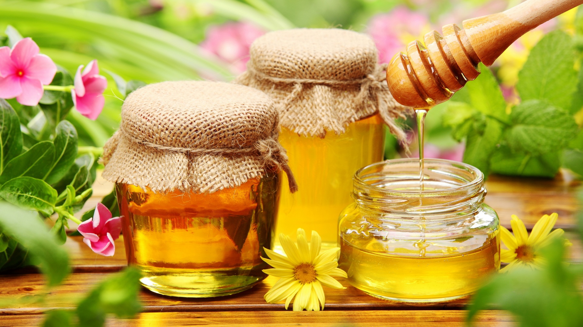 Mierea de albine. Proprietăți, beneficii, cum o alegi