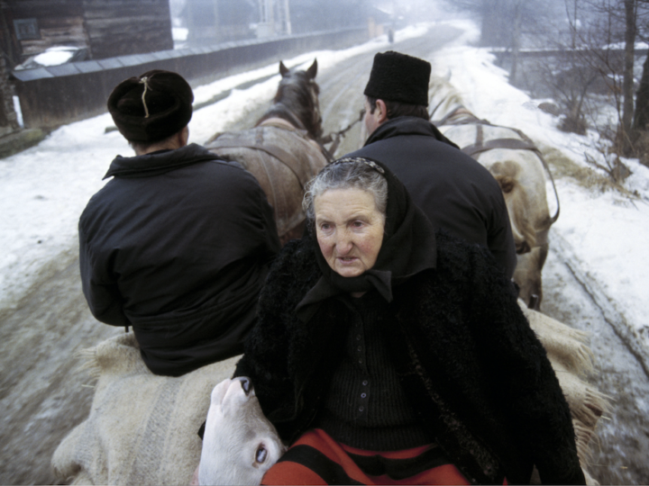 Mătușa. Expoziție de fotografie