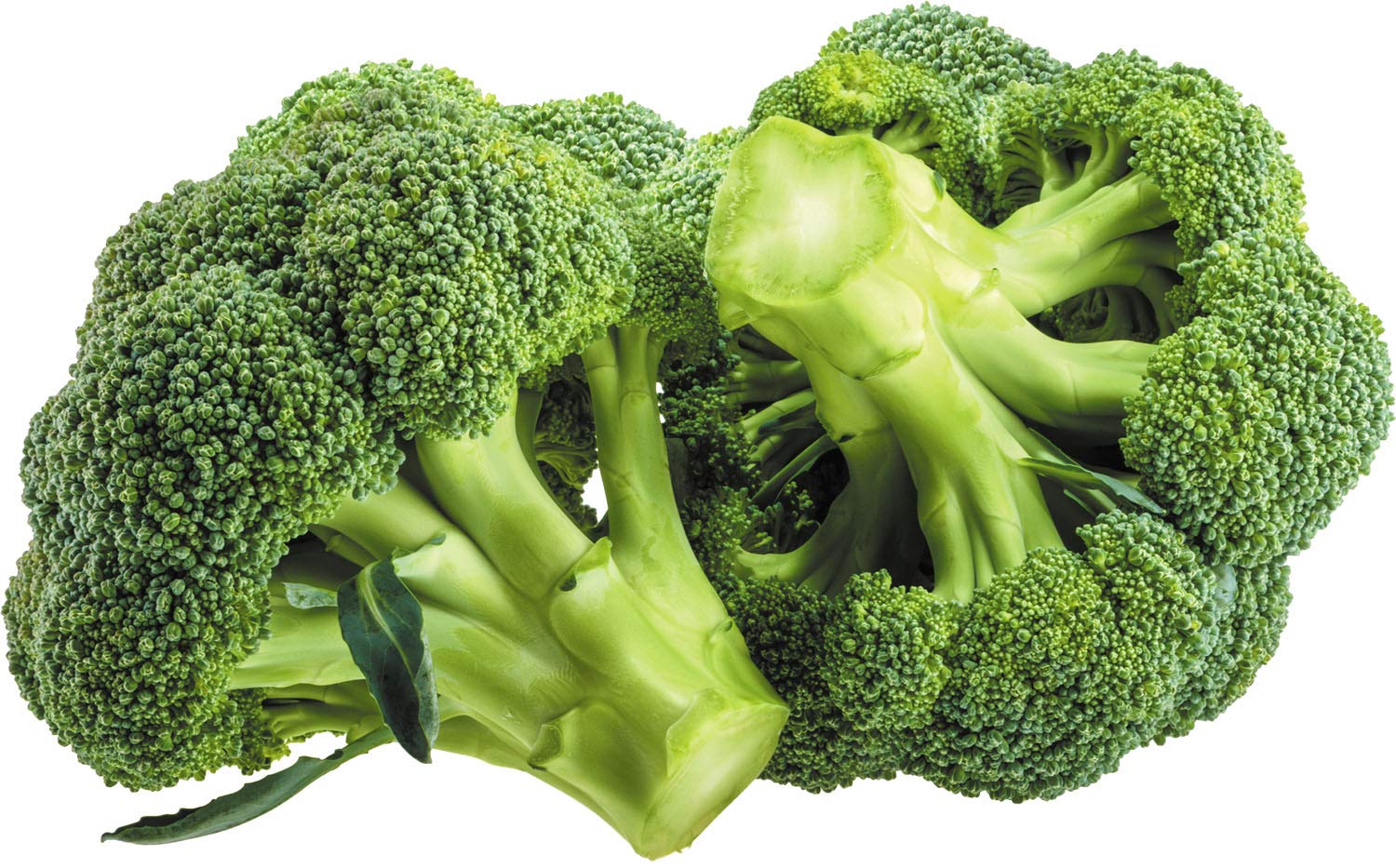 Broccoli ajută la menţinerea greutăţii