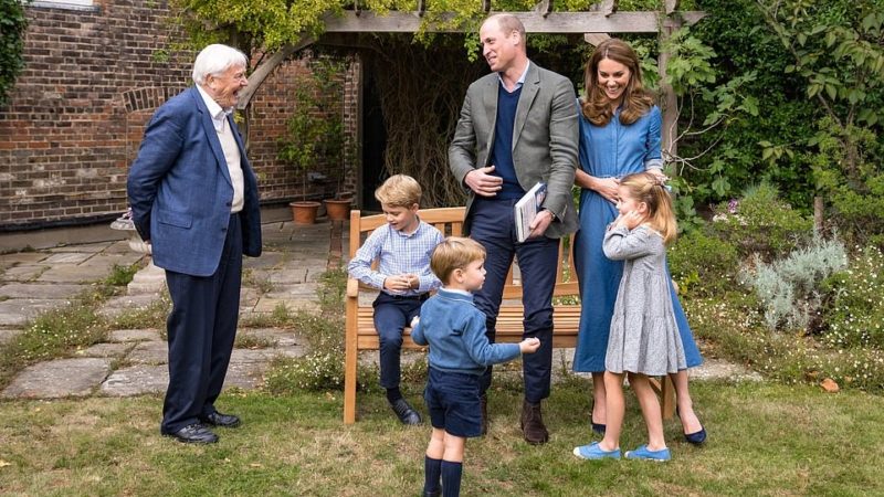 Cât sunt de frumoși copiii Prințului William! Altețele regale, filmate la o lecție despre animale