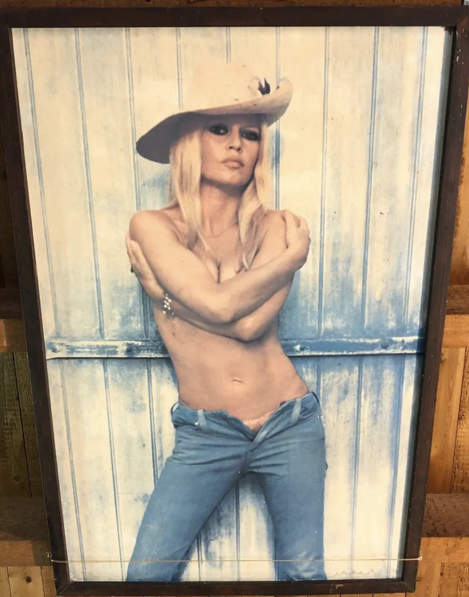 Milioanele lui Brigitte Bardot: ce lasă în urmă și cine o moștenește