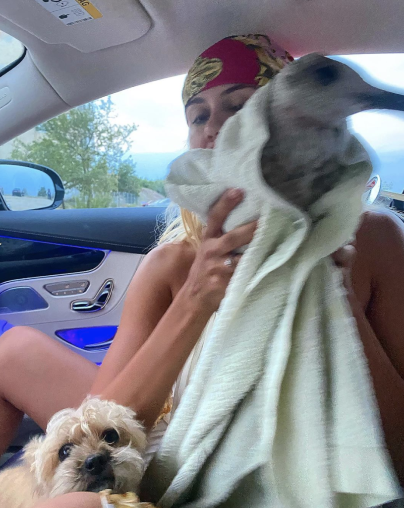 Screenshot 2020 10 13 at 12.08.44