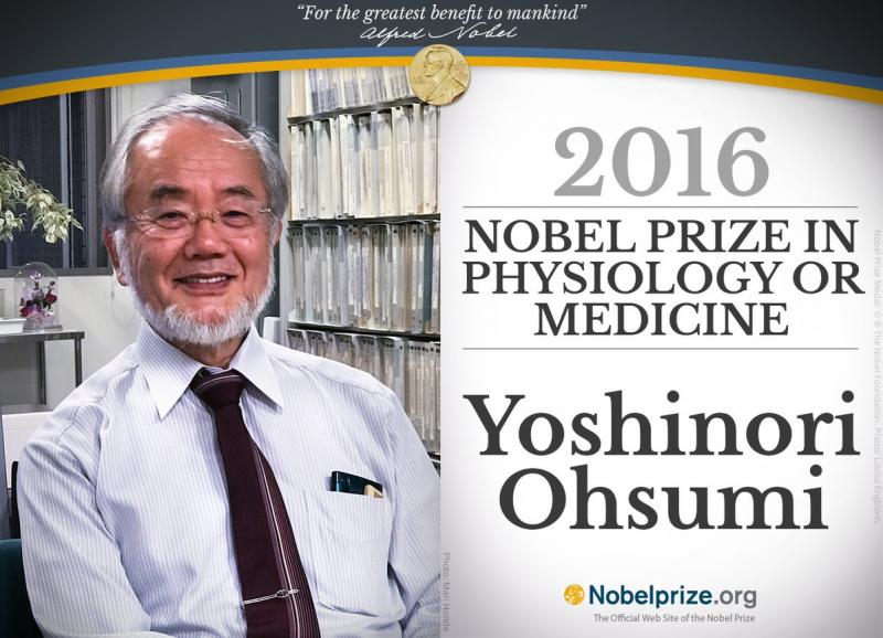 Dieta japonezului laureat cu premiul Nobel