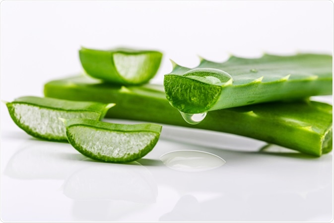 Aloe vera: ingredientul minune. Cum îl folosim pentru păr