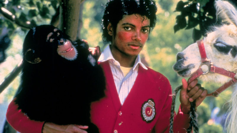 Bubbles, cimpanzeul-problemă al lui Michael Jackson