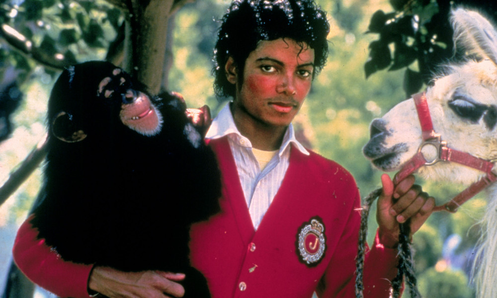 Bubbles, cimpanzeul-problemă al lui Michael Jackson