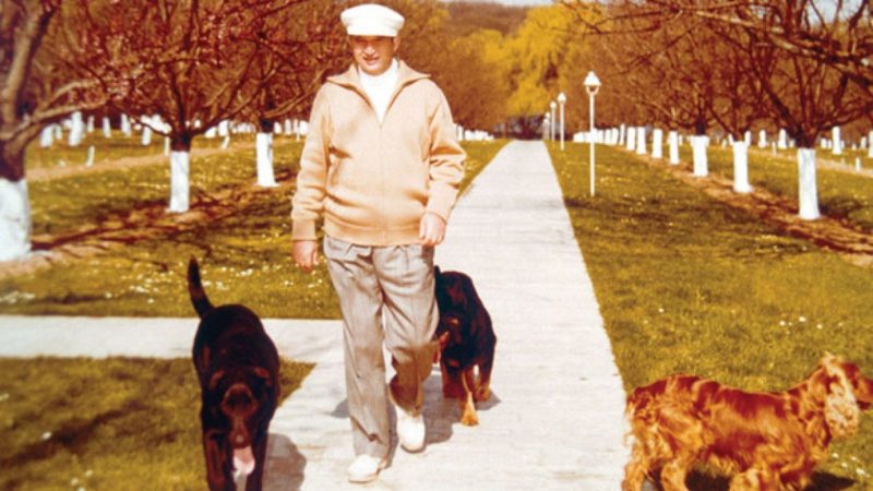 Corbu și Șarona, câinii preferați ai lui Nicolae Ceaușescu, s-au stins de dorul stăpânului