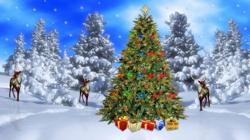 Istoria primilor brazi de Crăciun din lume