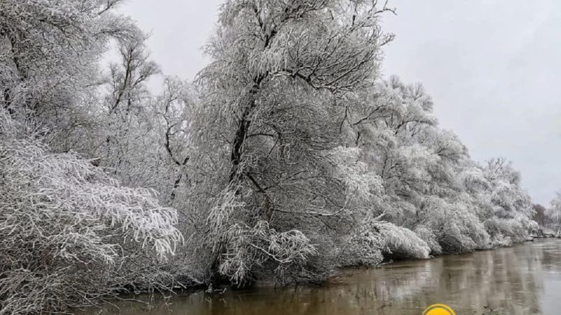 Imagini de basm. Cum arată Delta Dunării când vine iarna
