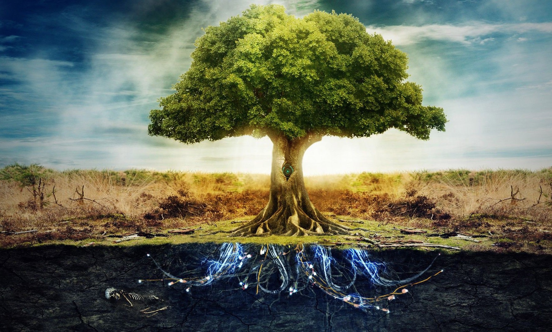 A fost descoperit „copacul vieții”. Unde se află. Imagini fabuloase!