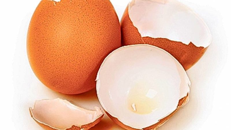 La ce poți folosi cojile de ouă. Întrebuințări practice