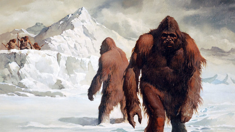 Yeti, omul zăpezilor. Vor reuși oamenii de știință să dezlege misterul: maidanez sau urs?