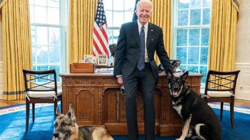 Câinii președintelui Joe Biden, „expulzați” de la Casa Albă