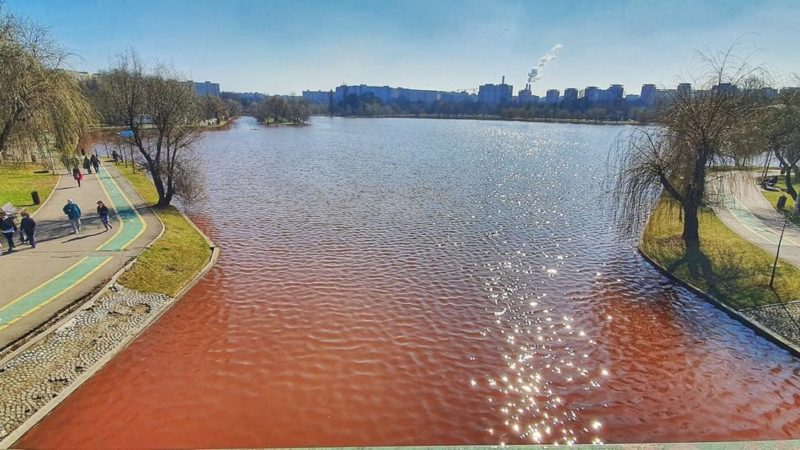 S-a descoperit de ce lacul IOR din București are culoarea roșie