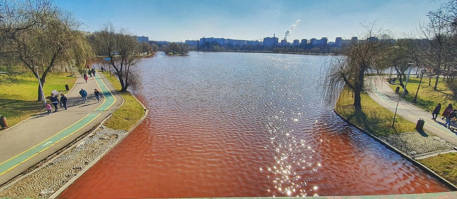 S-a descoperit de ce lacul IOR din București are culoarea roșie