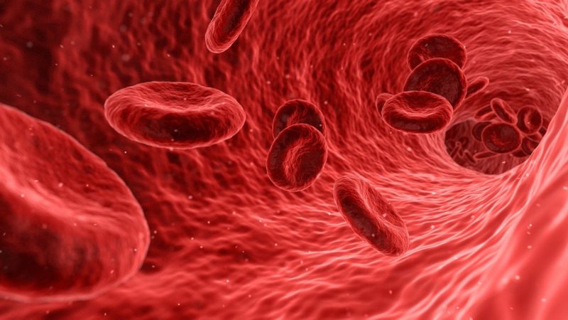 Cum apar cheagurile de sânge și ce puteți face ca să le preveniți