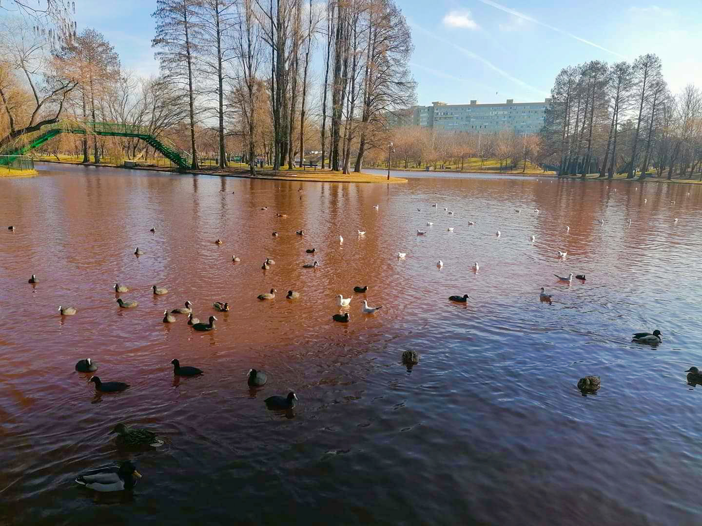 Misterul apei roșii din lacul IOR. Unde s-au mai înroșit râuri și lacuri