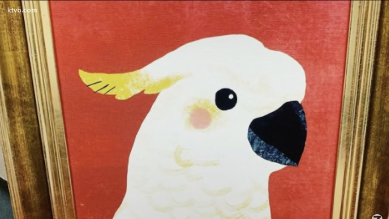 Papagalul Sweet Pea s-a îndrăgostit de un pui de labrador. Imaginile care au devenit virale. VIDEO