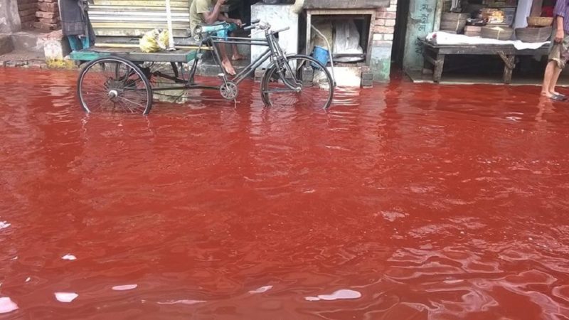 Ploaia cu sânge din India, un fenomen ciudat a cărui enigmă nu a fost încă dezlegată