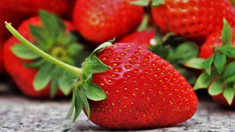 Căpșunile din piață pot conține chimicale. Cum știm ce să cumpărăm