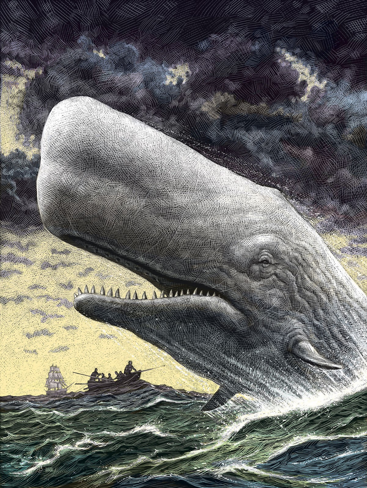 Moby Dick, balena ucigașă, a existat cu adevărat
