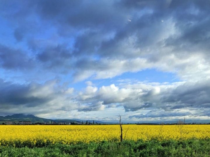 Când vine vara adevărată? Ce spun meteorologii despre vremea din iunie