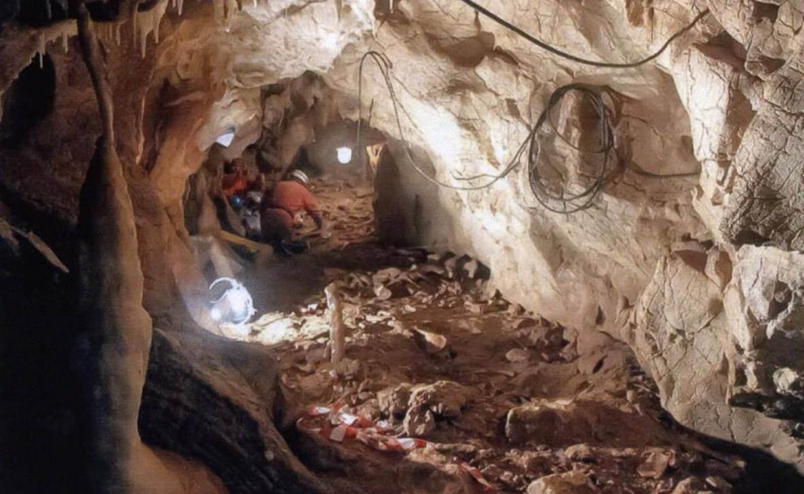 Peștera cu oase de om și de urs. BBC a făcut un documentar de excepție