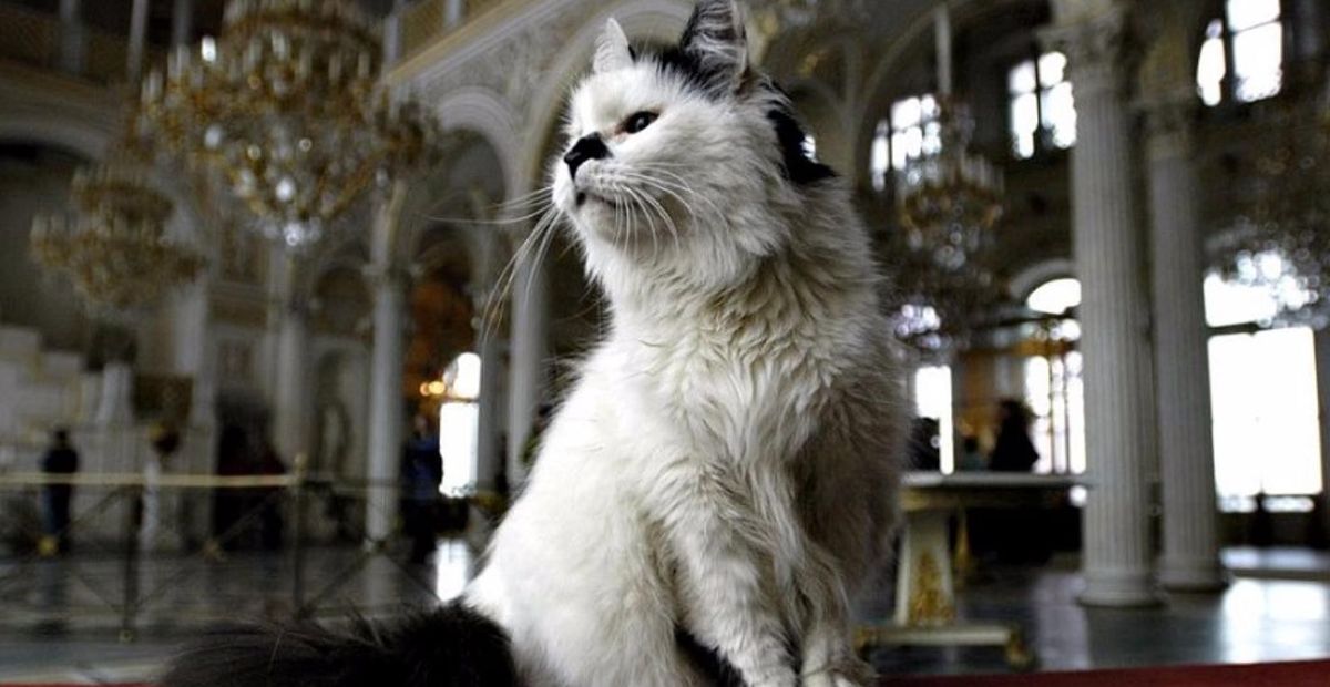 Pisicile sunt paznicii de nădejde ai Muzeului Ermitaj din Sankt Petersburg din anul 1754