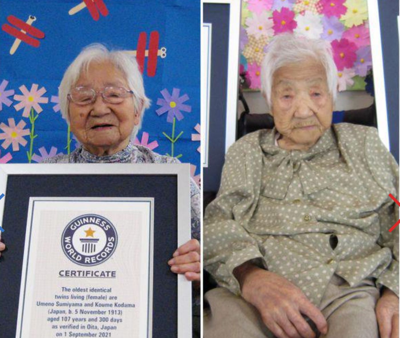 Au intrat în Guinness World Records. Două japoneze de 107 ani sunt cele mai în vârstă gemene identice din lume
