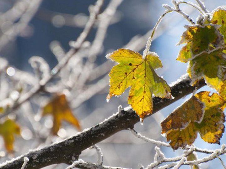 Ne vom confrunta cu un val de ger polar. Scoateți hainele groase