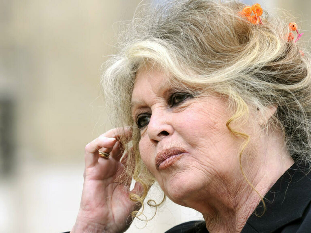 Brigitte Bardot, amendată pentru injurii rasiale. Ce a spus vedeta