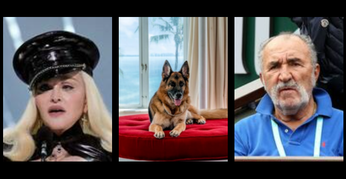 Fosta casă a Madonnei, cumpărată de un câine lup. Ciobănescul german e mai bogat ca Ion Țiriac!
