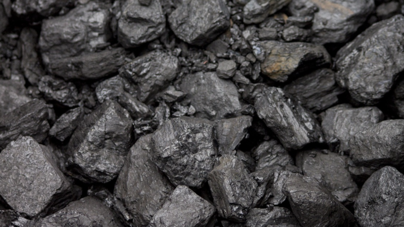 Zvonurile se adeveresc. Germania are interese mari cu cărbunele rusesc și nu oprește importul