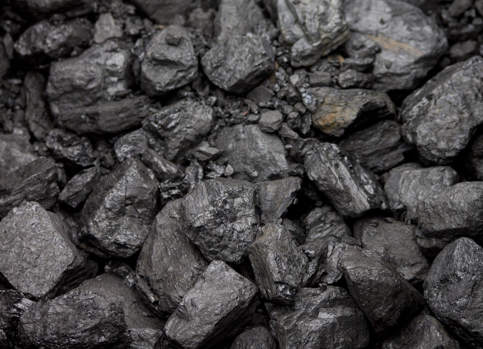 Zvonurile se adeveresc. Germania are interese mari cu cărbunele rusesc și nu oprește importul