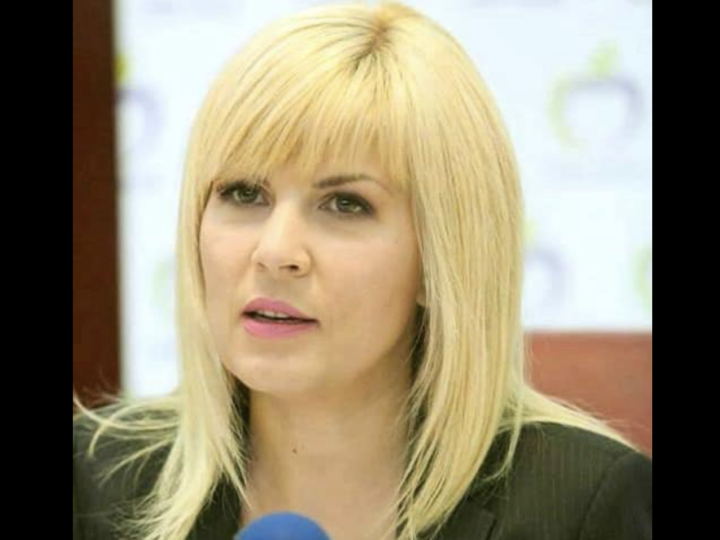 Elena Udrea postează și nu exagerează de data asta. Chiar a făcut ce spune!