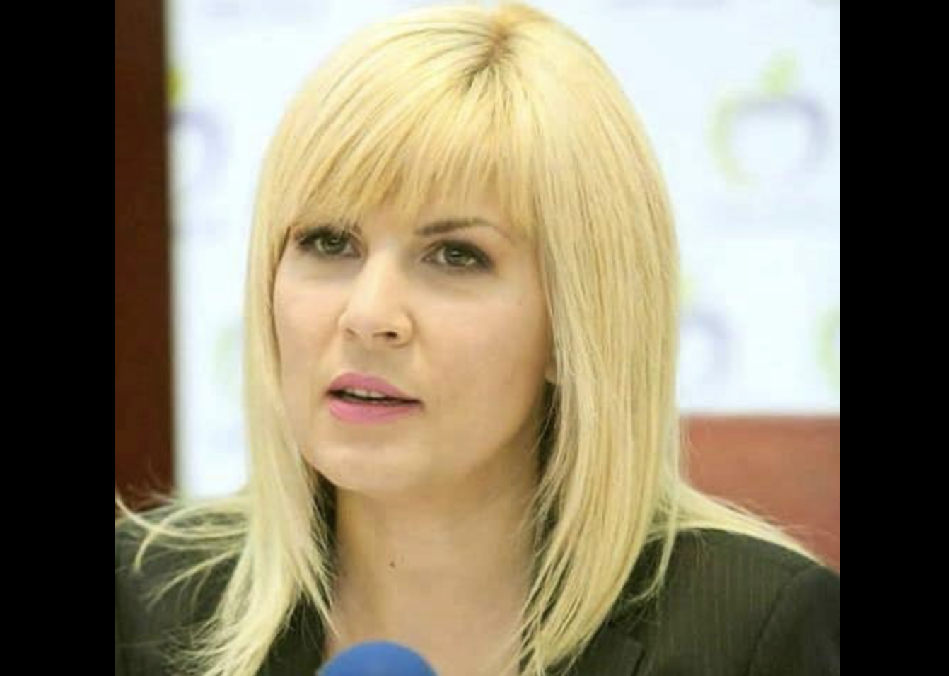 Elena Udrea îl ceartă pe ministrul Justiției: „Aveți vreo părere?”