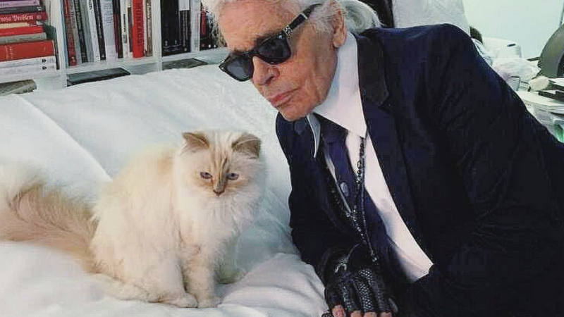 Milionara Choupette, celebra pisică a lui Karl Lagerfeld, dezmoștenită!