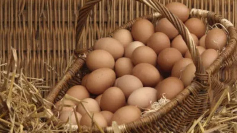 Ouăle nu sunt de neînlocuit în prăjituri și mâncăruri. Ponturi fantastice