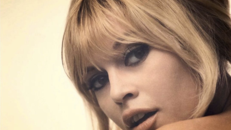 Brigitte Bardot: coafurile ei din anii 60 de ani revin în trend. Cum să le realizați, pas cu pas