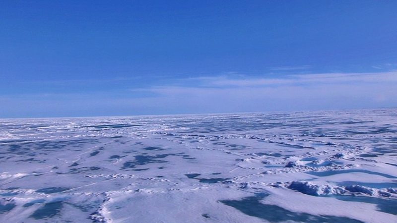 Primul om care a pus piciorul la Polul Nord. Cum a fost descoperit acest loc mirific