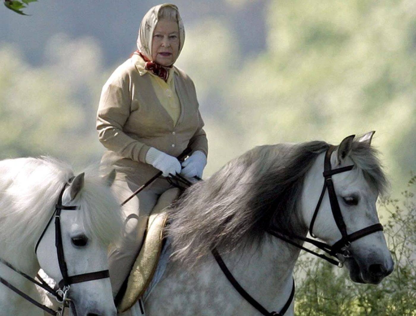 Calul reginei Elisabeta a simțit că stăpâna moare? „Până în acel moment, herghelia a adus milioane de lire”