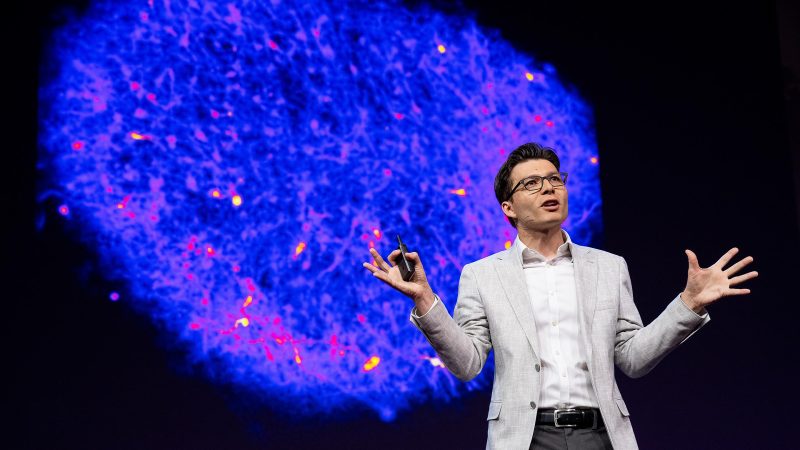 Un tânăr român de la Stanford revoluționează neuroștiința. Dr. Sergiu Pașca tocmai a lansat descoperiri uluitoare