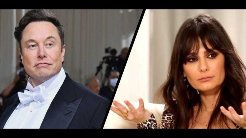 Venirea lui Elon Musk în România, un fake news? Dana Budeanu dinamitează știrea momentului