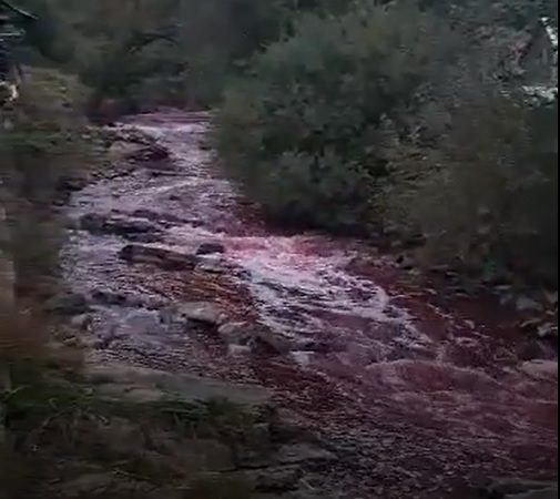 Video. De Sfâta Parascheva, apele râului Sălăuța au devenit brusc sângerii