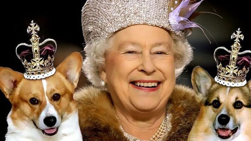 Cum se simt câinii regretatei regine Elisabeta în noua lor locuință. Sarah Ferguson a dat ultimele detalii despre „comorile naționale”