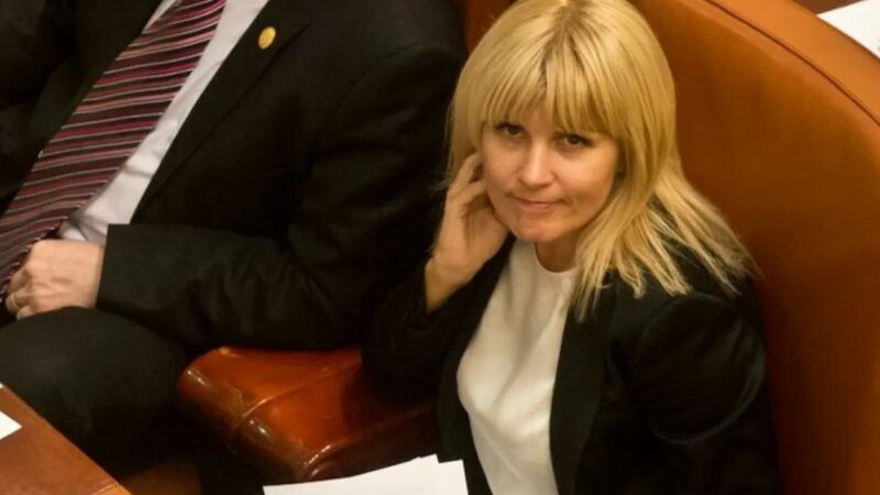 Elena Udrea a aflat decizia Instanței Supreme